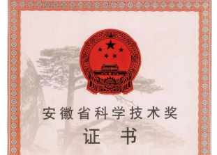 榮譽(yù) | 科達(dá)新銘豐、安徽科達(dá)潔能榮獲省級(jí)科技進(jìn)步獎(jiǎng)！